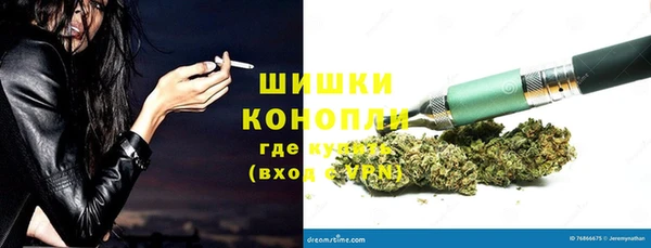 гидра Балахна