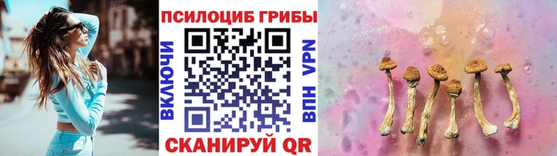 Псилоцибиновые грибы Psilocybine cubensis  Нолинск 